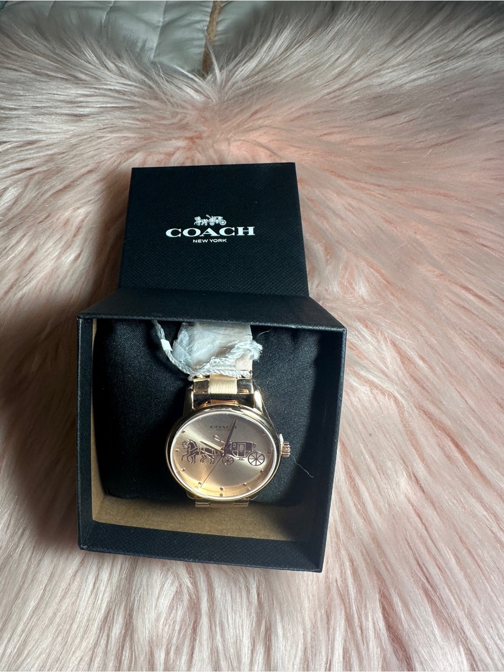 Coach 14503740 Grand Rose Dial
Rose Gold Stainless Steel
Women's Watch